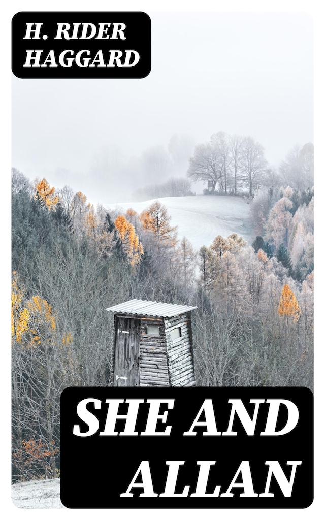 Book cover for She and Allan