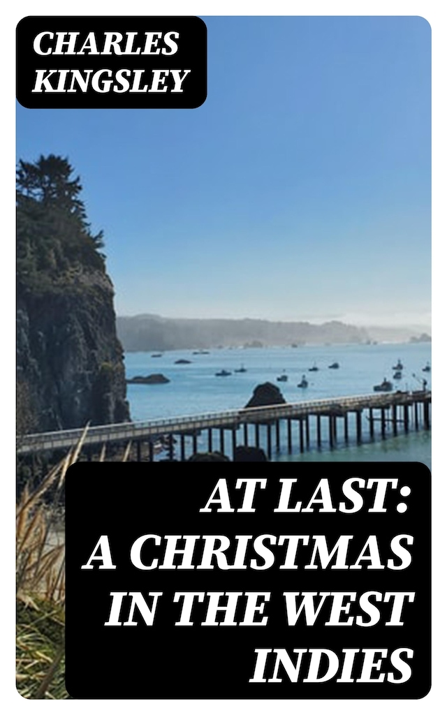 Book cover for At Last: A Christmas in the West Indies