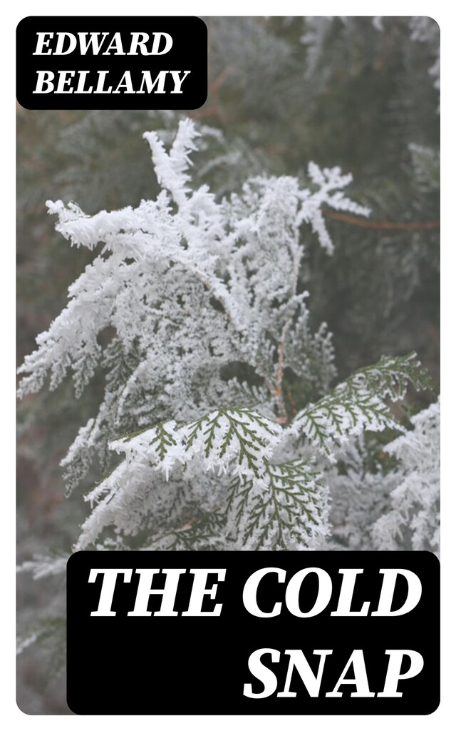 Book cover for The Cold Snap