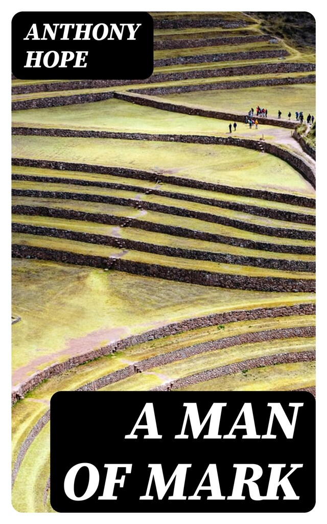 Buchcover für A Man of Mark