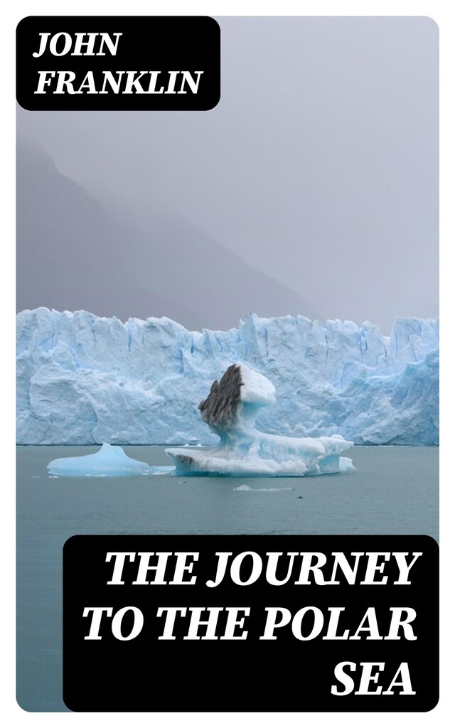 Copertina del libro per The Journey to the Polar Sea