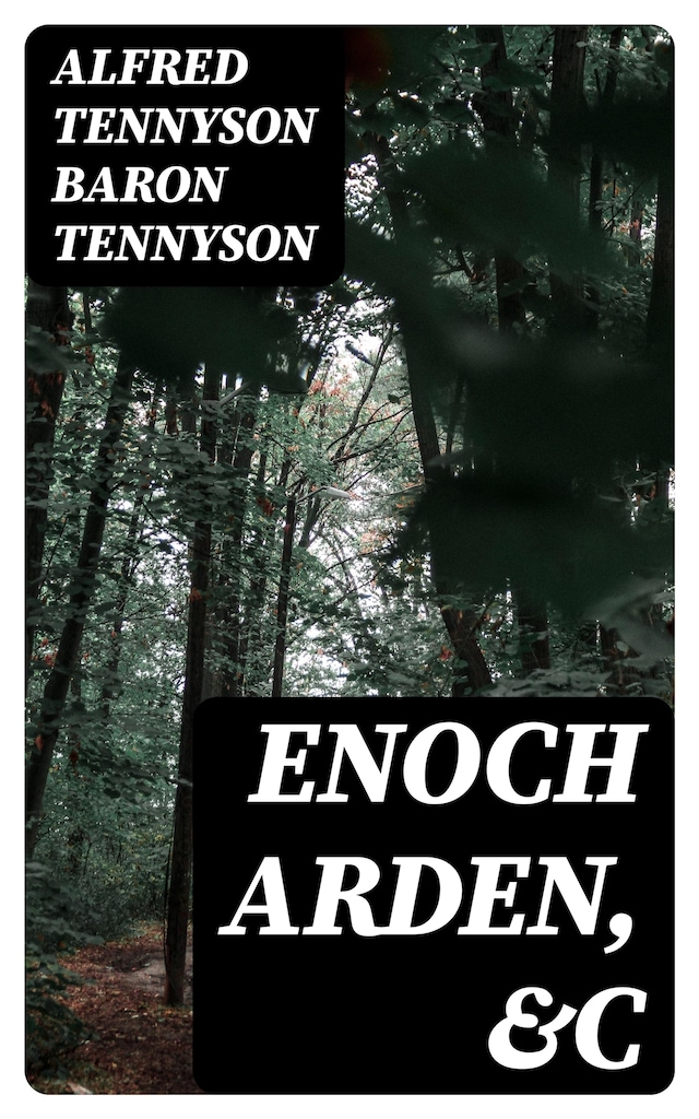 Buchcover für Enoch Arden, &c