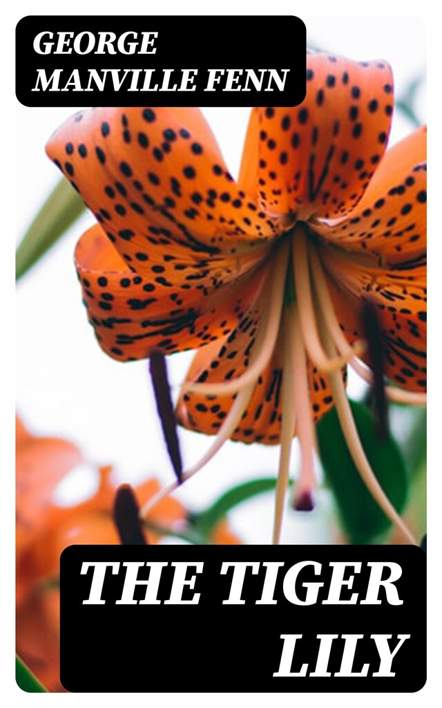 Book cover for The Tiger Lily