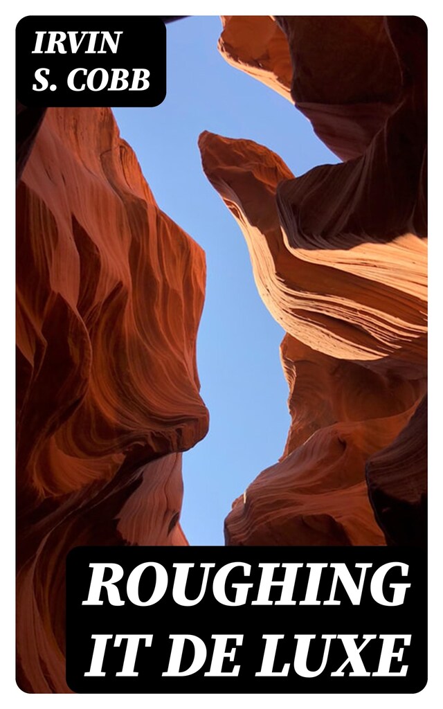 Book cover for Roughing it De Luxe