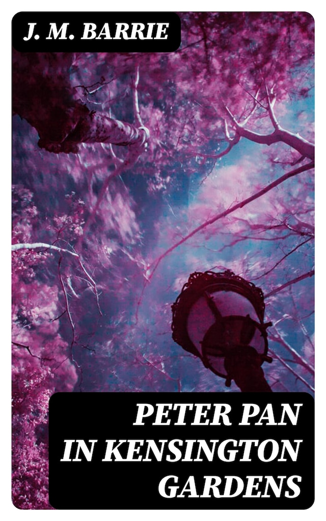 Copertina del libro per Peter Pan in Kensington Gardens