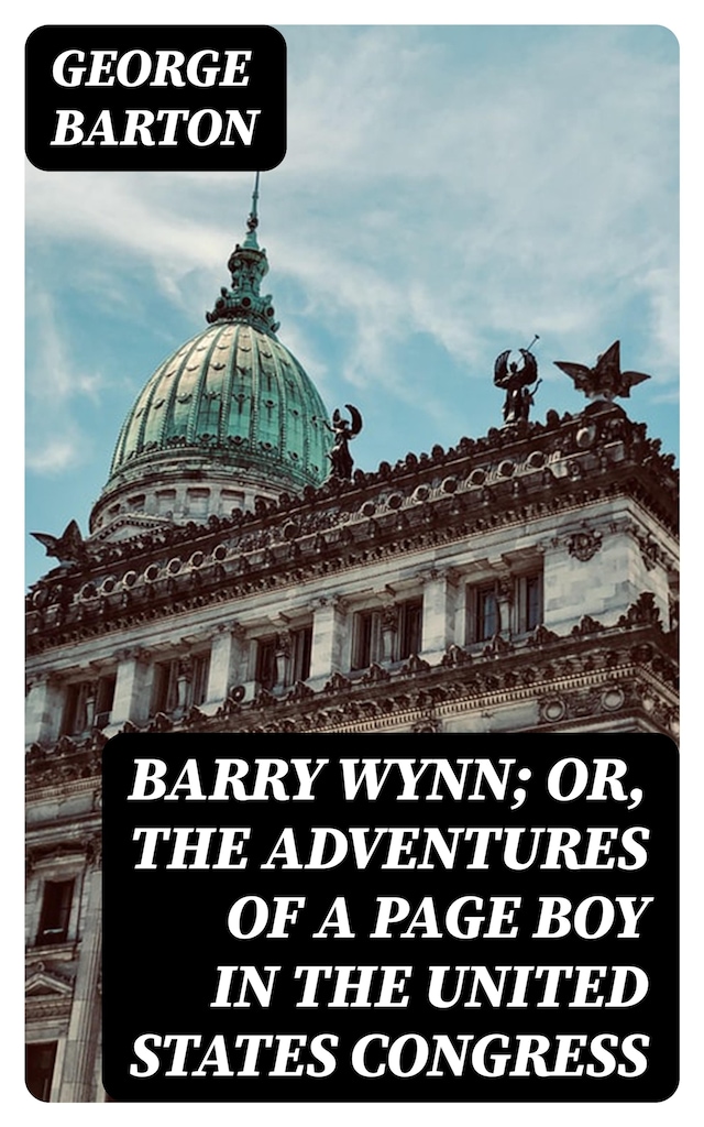 Book cover for Barry Wynn; Or, The Adventures of a Page Boy in the United States Congress