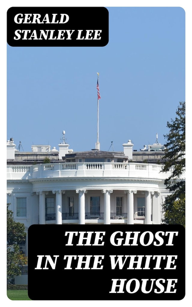 Book cover for The Ghost in the White House