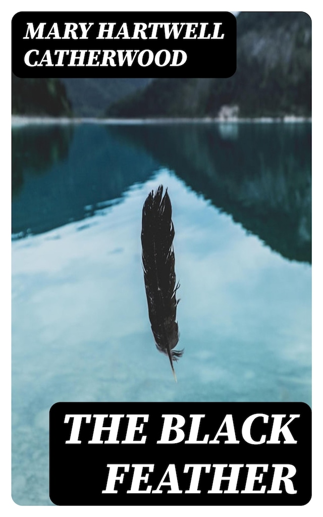 Book cover for The Black Feather
