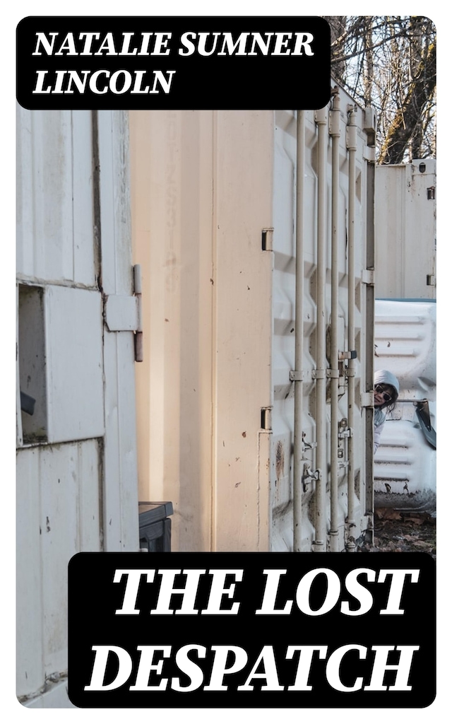 Book cover for The Lost Despatch