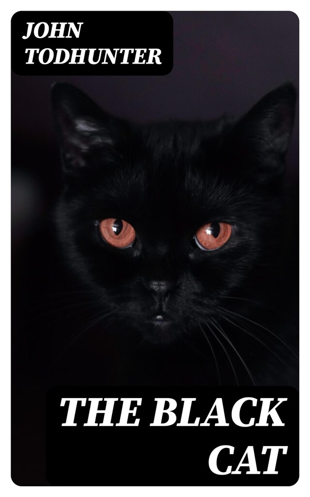 Kirjankansi teokselle The Black Cat