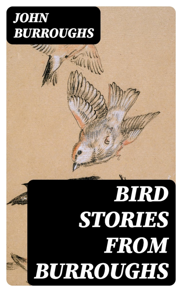 Book cover for Bird Stories from Burroughs