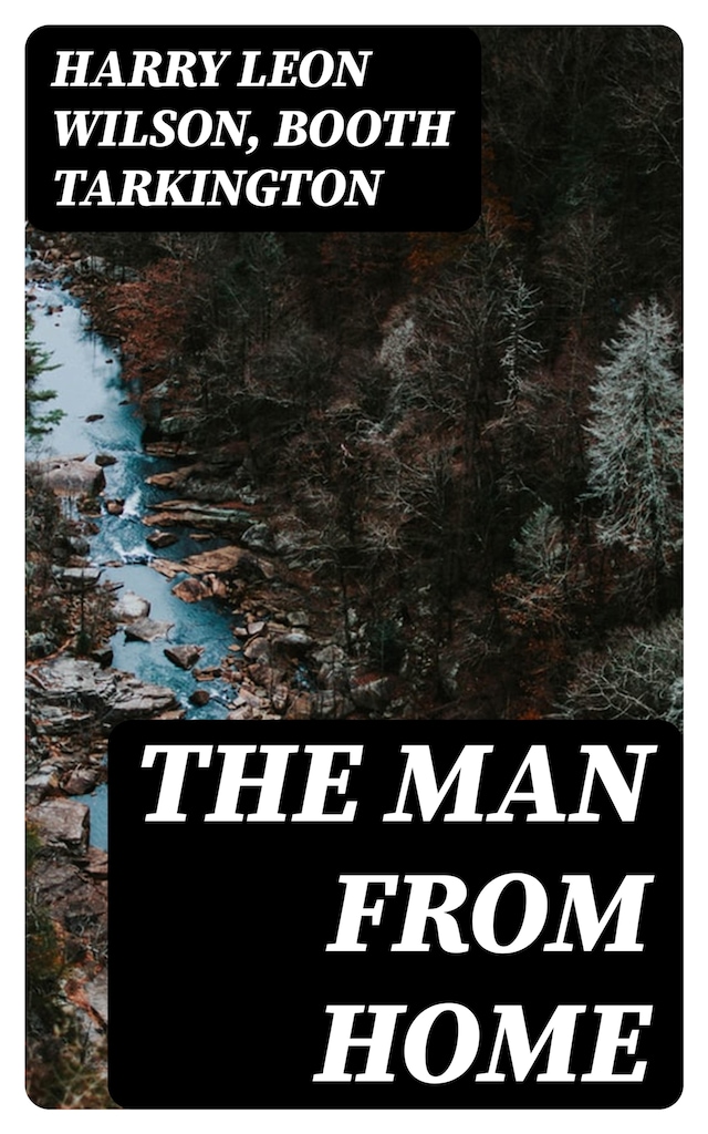 Book cover for The Man from Home