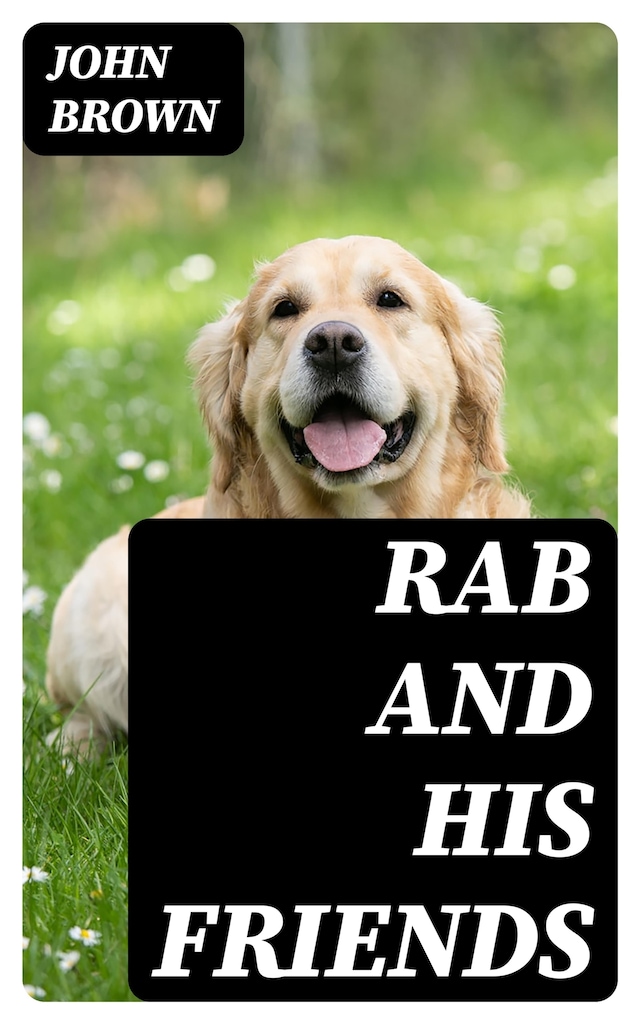 Book cover for Rab and His Friends
