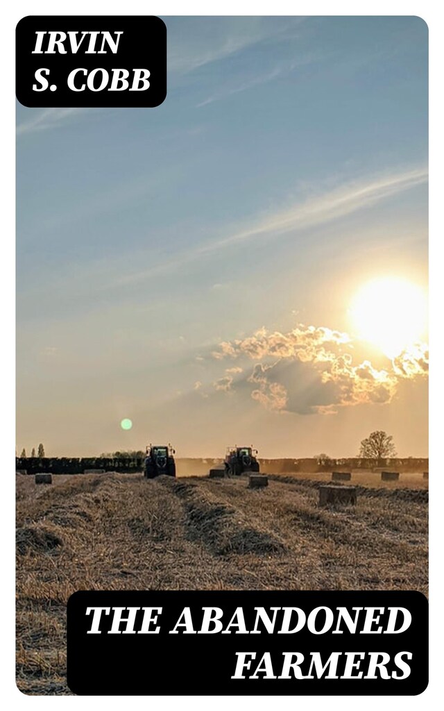 Bogomslag for The Abandoned Farmers