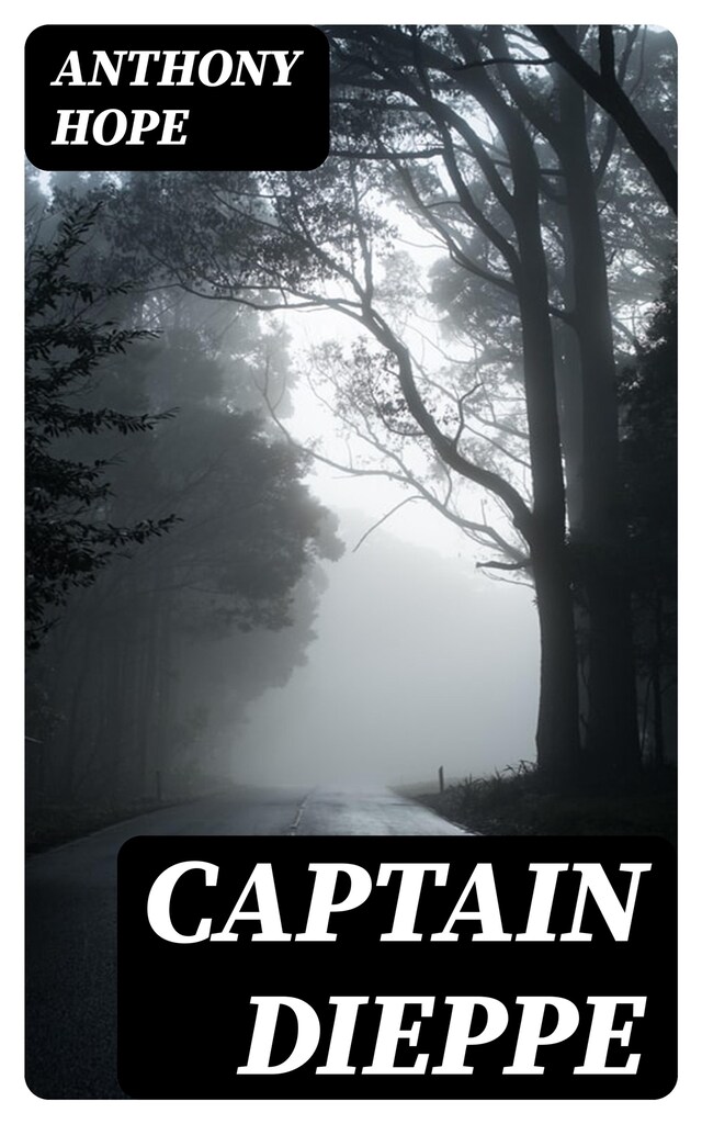 Book cover for Captain Dieppe