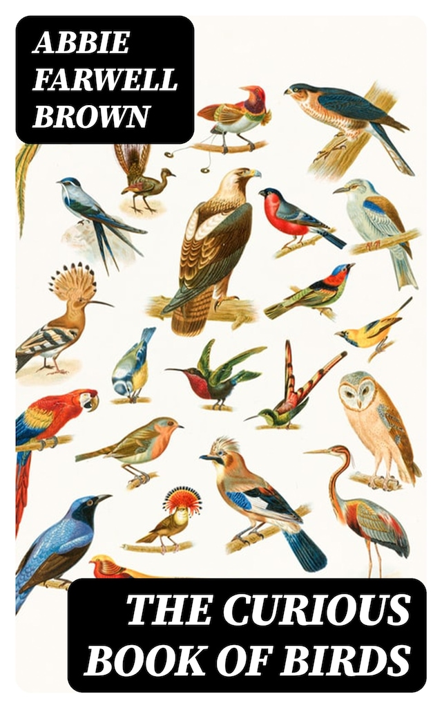 Okładka książki dla The Curious Book of Birds