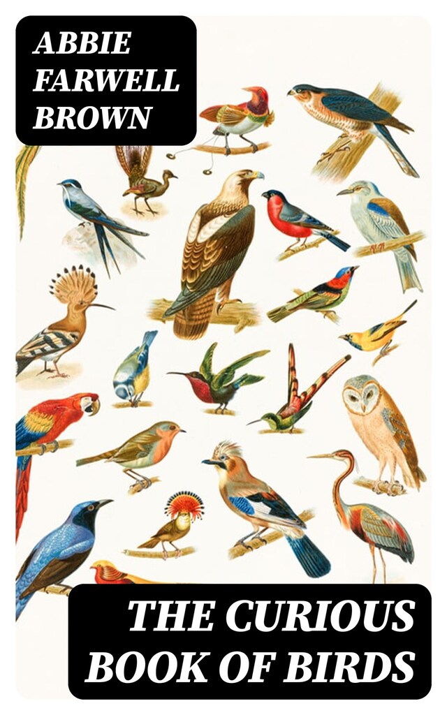 Kirjankansi teokselle The Curious Book of Birds