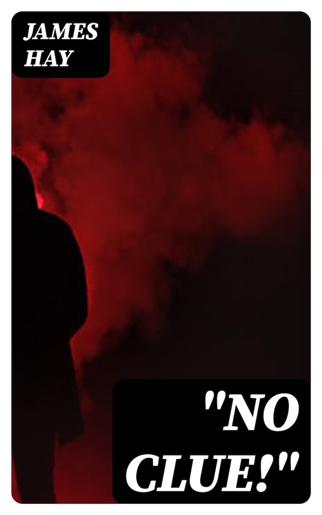 Book cover for "No Clue!"