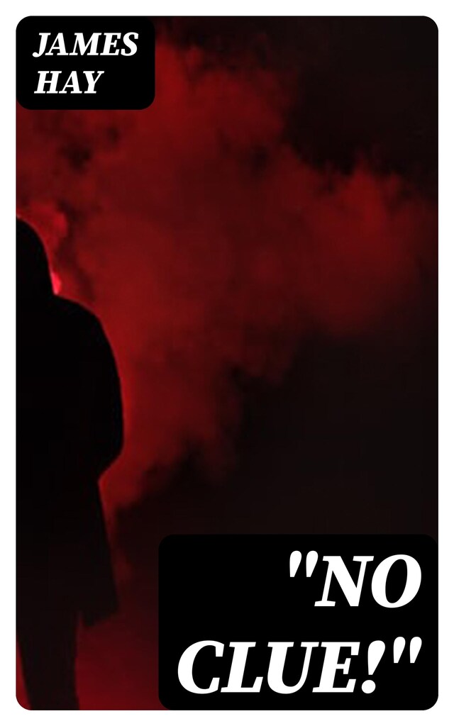 Copertina del libro per "No Clue!"