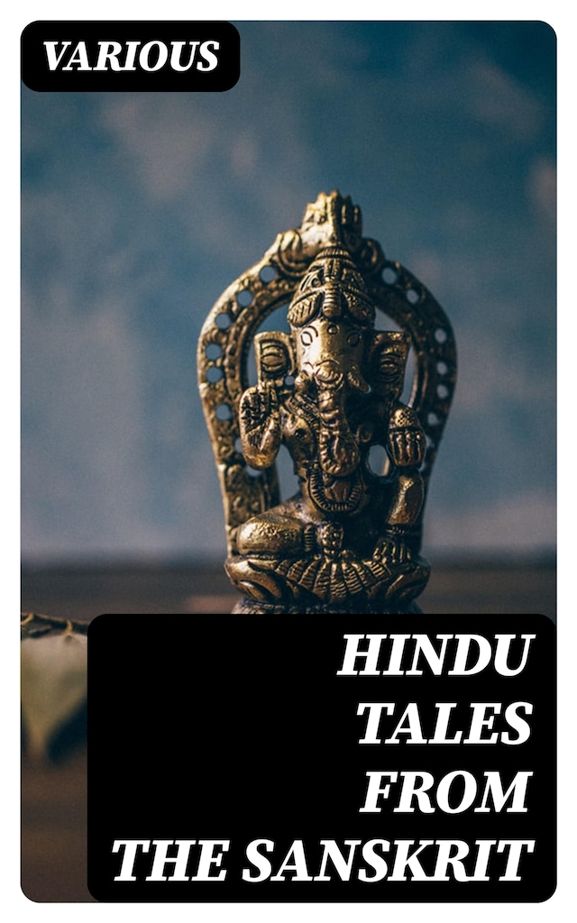 Book cover for Hindu Tales from the Sanskrit