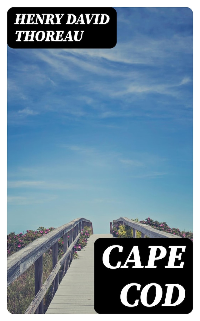 Book cover for Cape Cod
