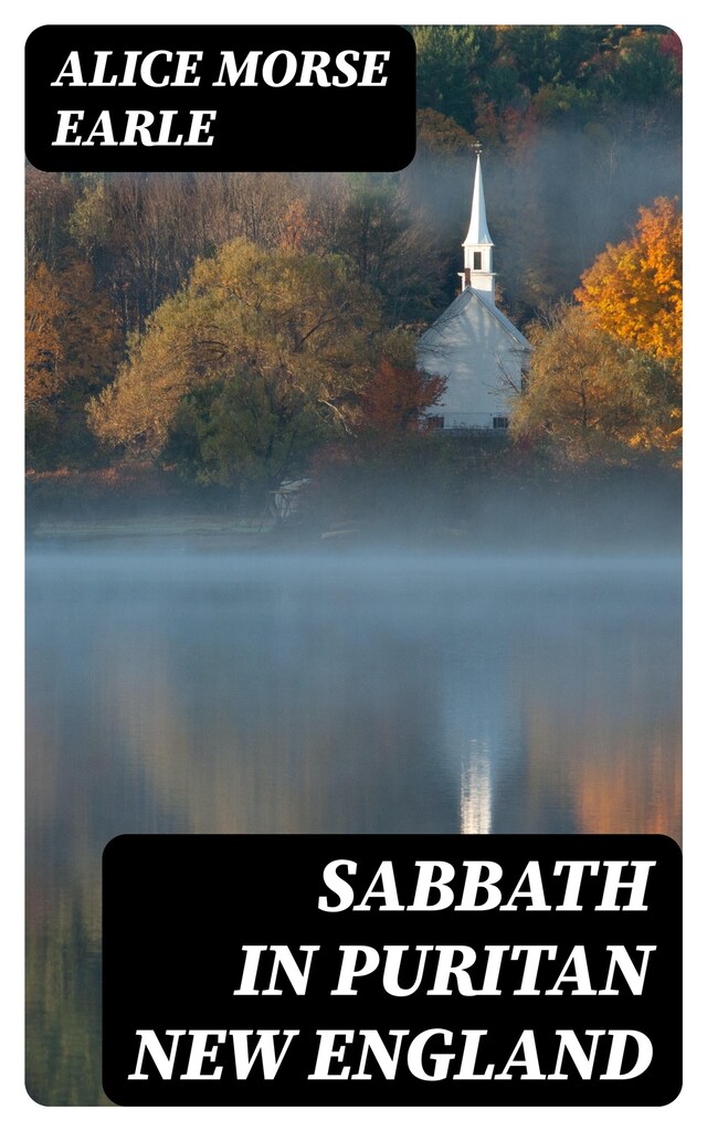 Book cover for Sabbath in Puritan New England