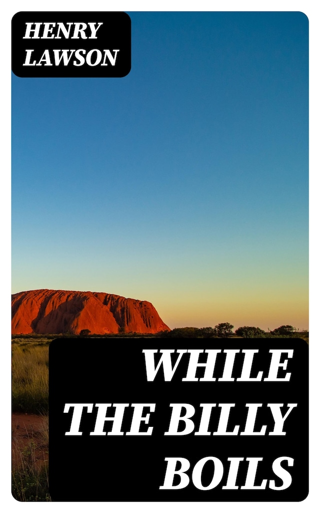 Book cover for While the Billy Boils