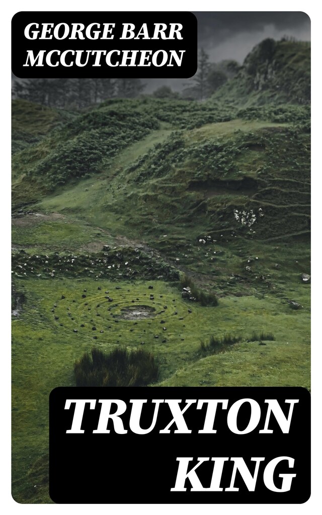 Book cover for Truxton King