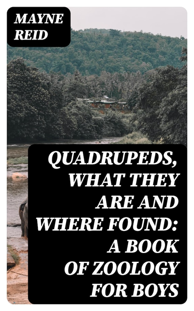 Copertina del libro per Quadrupeds, What They Are and Where Found: A Book of Zoology for Boys