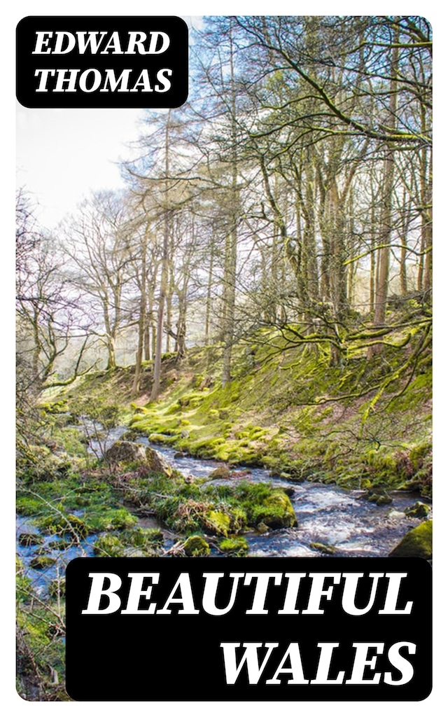 Boekomslag van Beautiful Wales