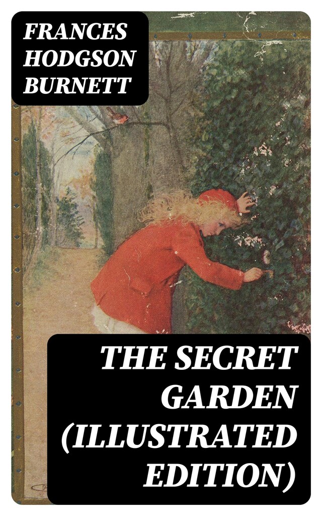 Book cover for The Secret Garden (Illustrated Edition)