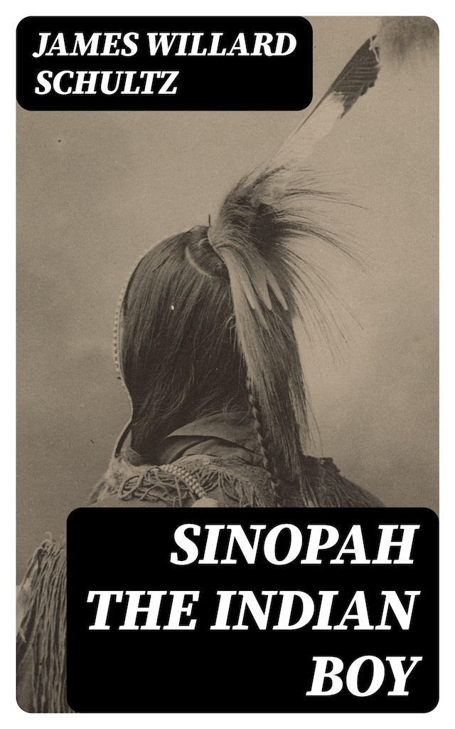 Book cover for Sinopah the Indian Boy