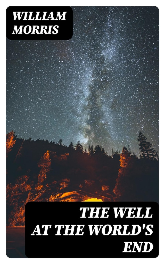 Book cover for The Well at the World's End