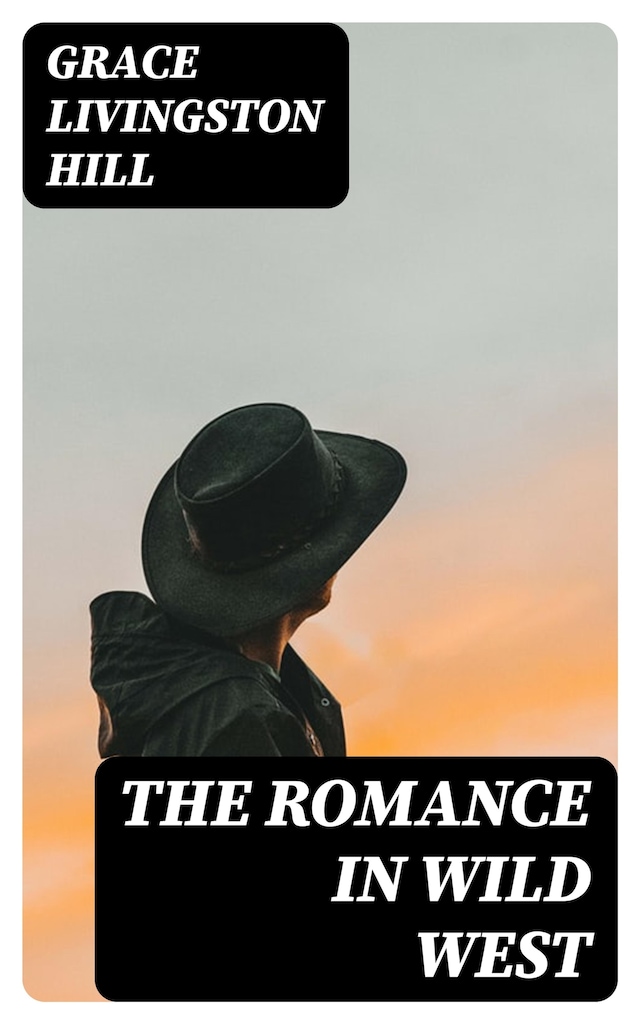 Book cover for The Romance in Wild West