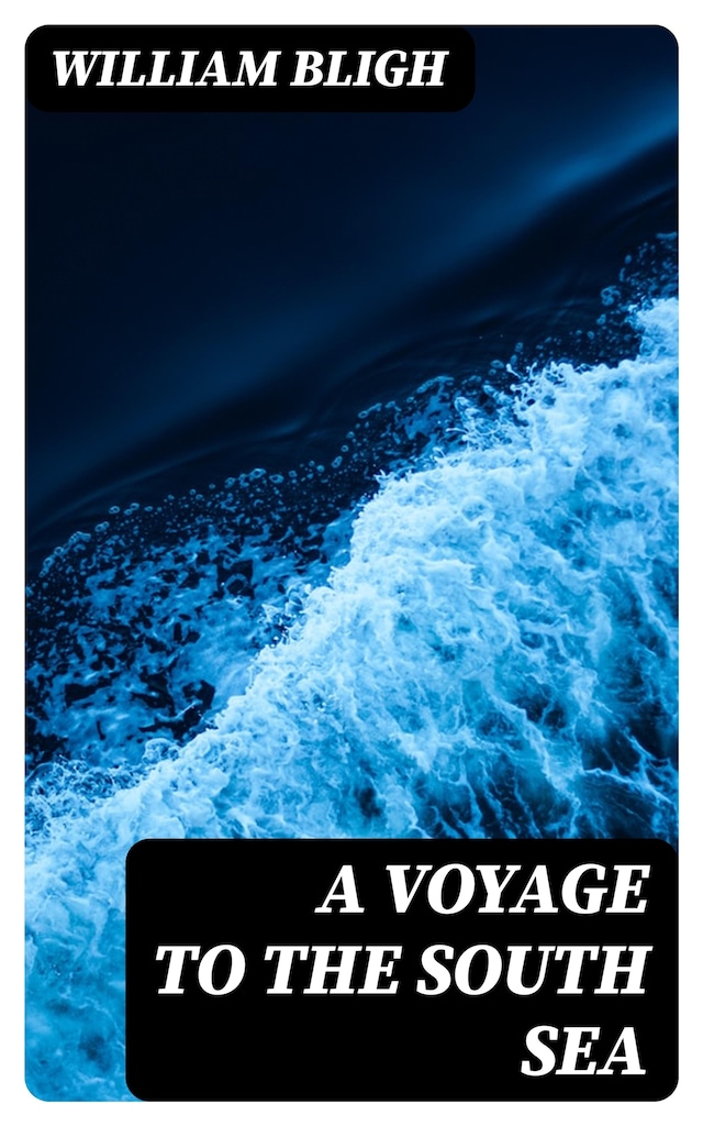 Copertina del libro per A Voyage to the South Sea