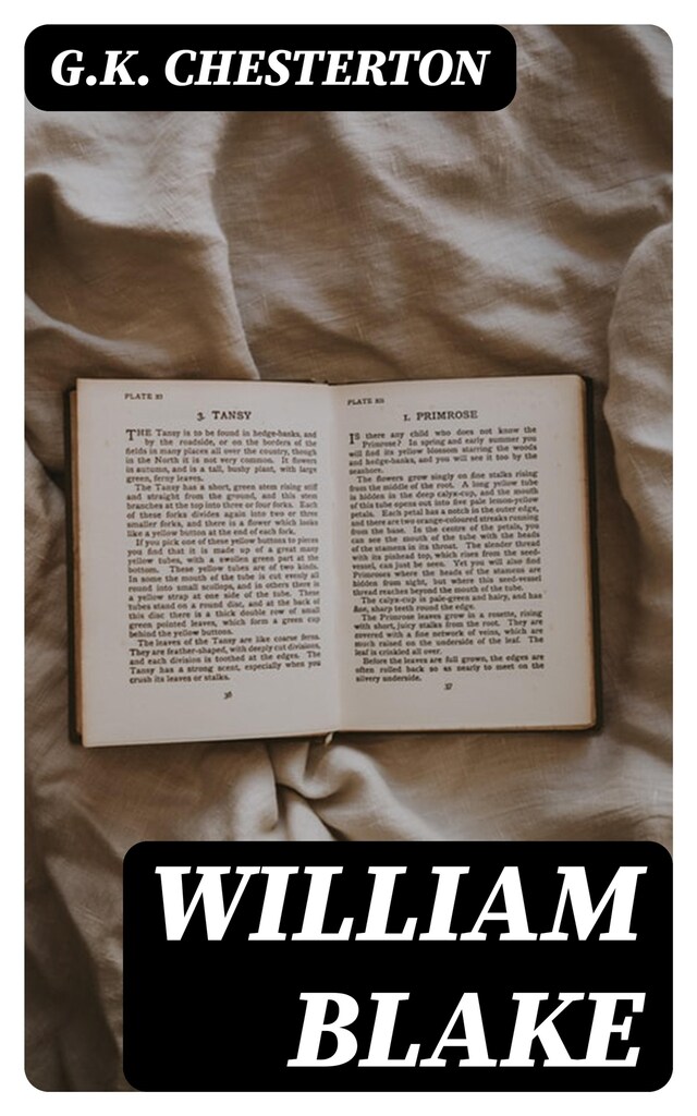 Buchcover für William Blake