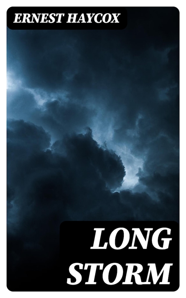 Book cover for Long Storm