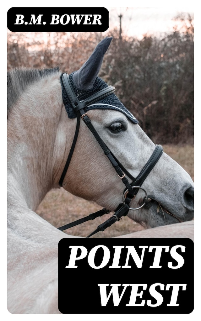 Book cover for Points West