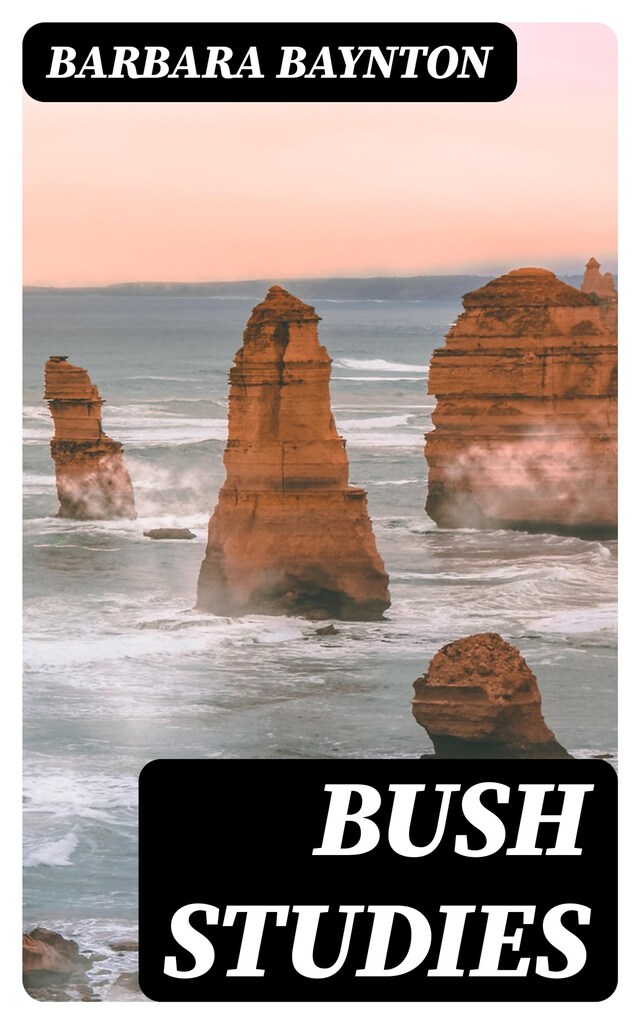 Copertina del libro per Bush Studies