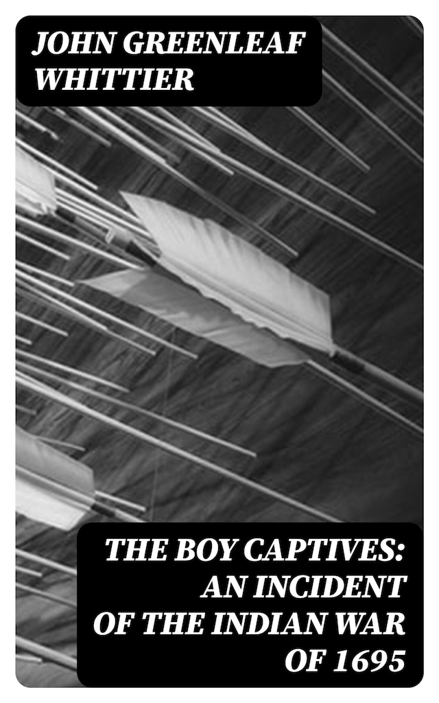 Book cover for The Boy Captives: An Incident of the Indian War of 1695