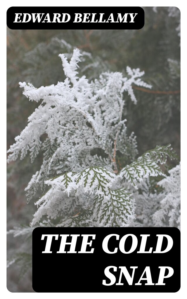 Bokomslag for The Cold Snap