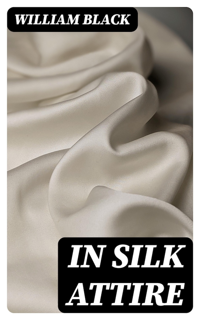 Book cover for In Silk Attire