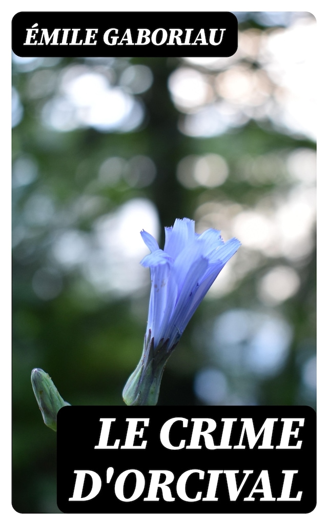 Boekomslag van Le crime d'Orcival