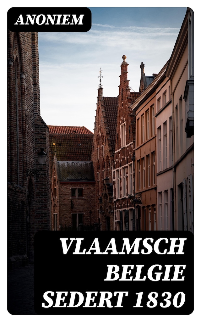 Boekomslag van Vlaamsch Belgie sedert 1830