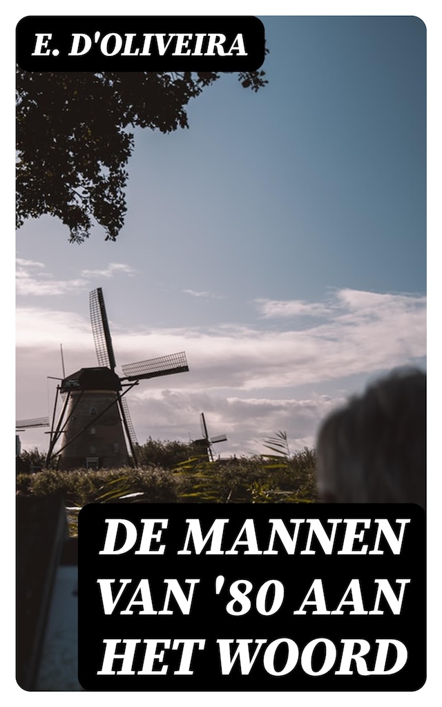 Book cover for De mannen van '80 aan het woord