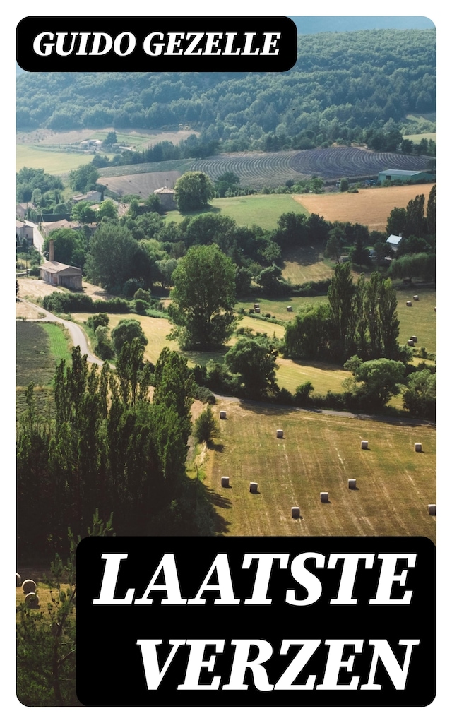Book cover for Laatste verzen