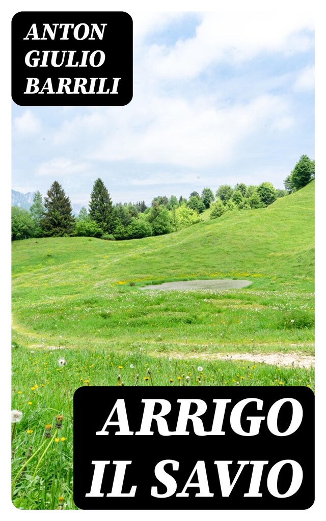 Copertina del libro per Arrigo il savio