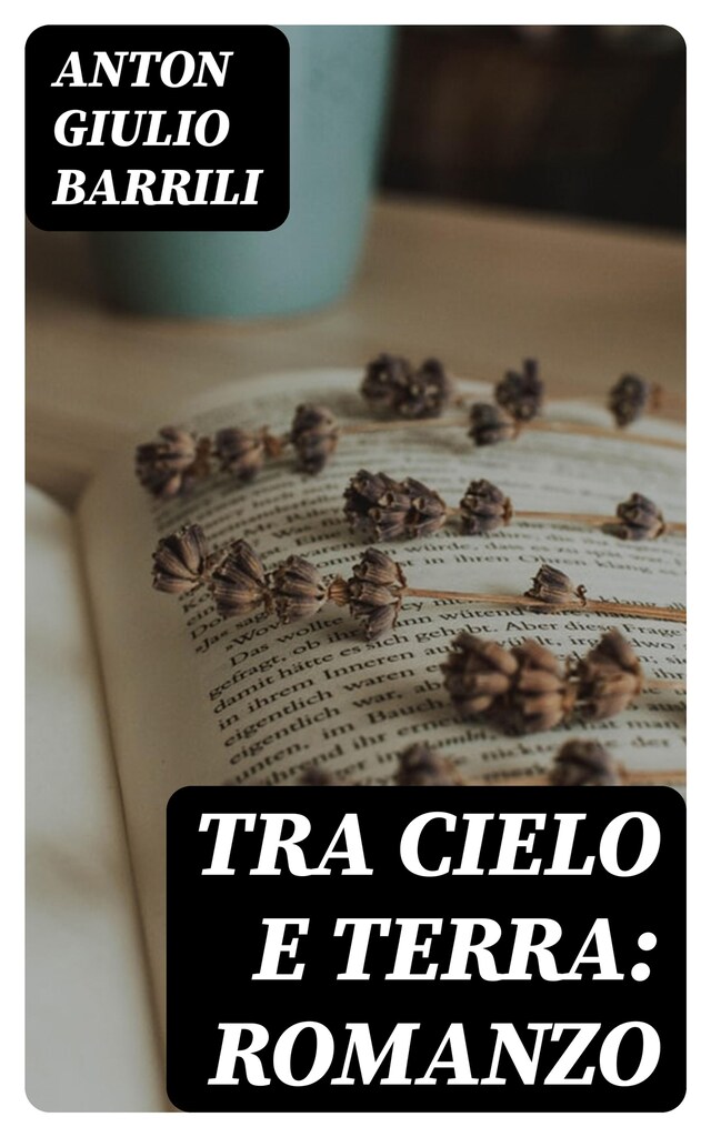 Copertina del libro per Tra cielo e terra: Romanzo