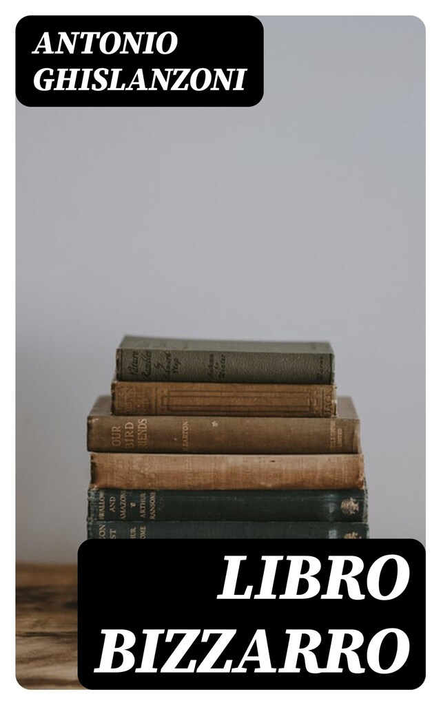 Book cover for Libro bizzarro