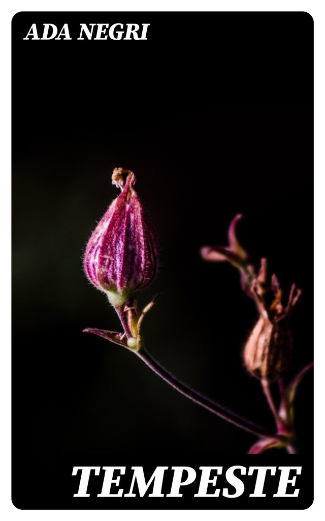 Buchcover für Tempeste